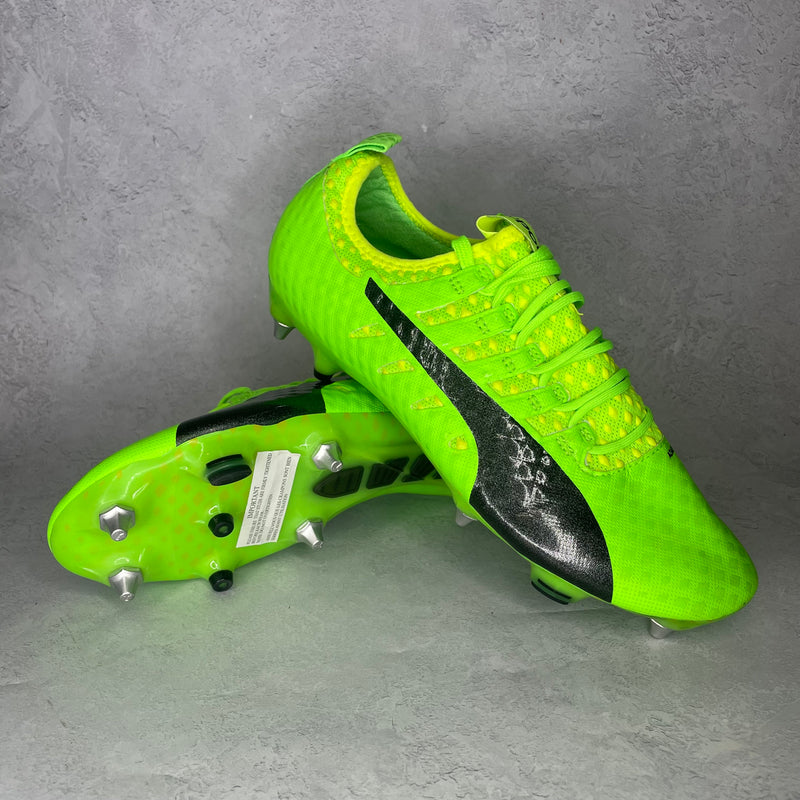 Puma evoPOWER Vigor 1 SG